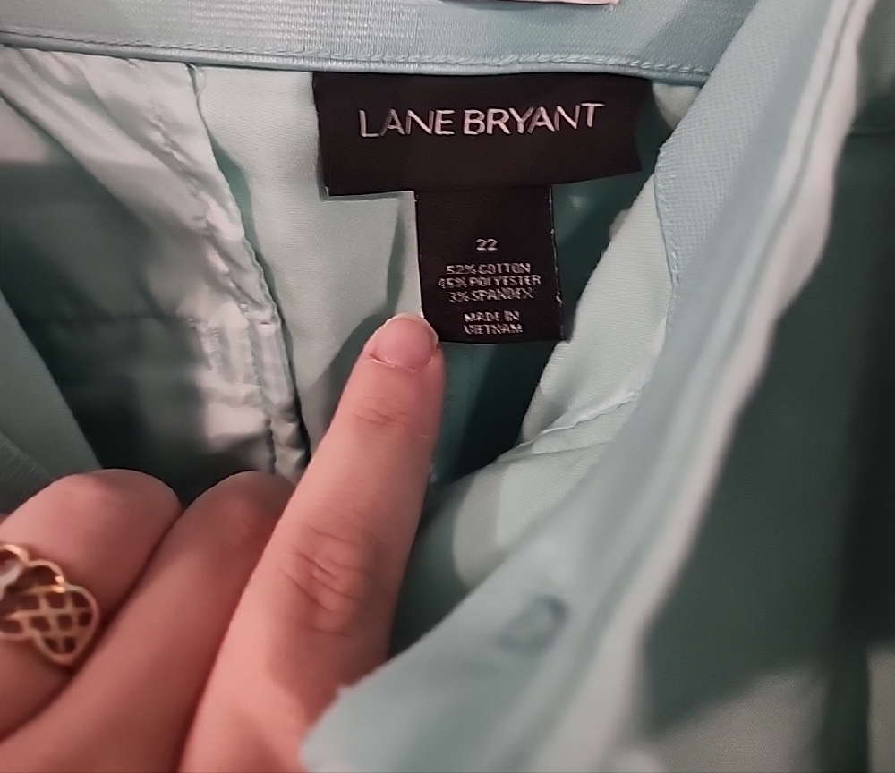 Lane Bryant Mint Green Pants - Picture 2 of 3